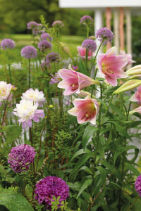 bulb afbeelding