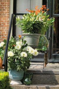 bulb afbeelding