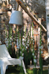 bulb afbeelding