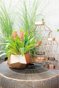 bulb afbeelding