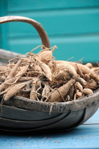 bulb afbeelding