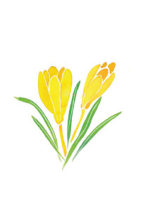 bulb afbeelding