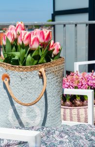 Tulips in a pot on the balcony and roof terrace