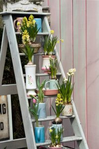 a ladder with pots of flowers