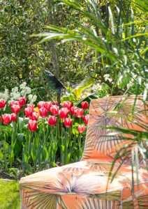 a chair in a garden with Tulips