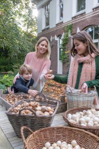 a group of people planting flowerbulbs